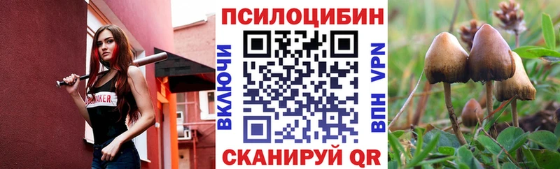 Псилоцибиновые грибы Psilocybine cubensis  продажа наркотиков  Кремёнки 